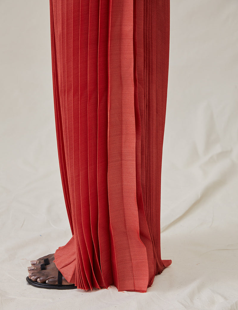 The Pleated Dress In Organza