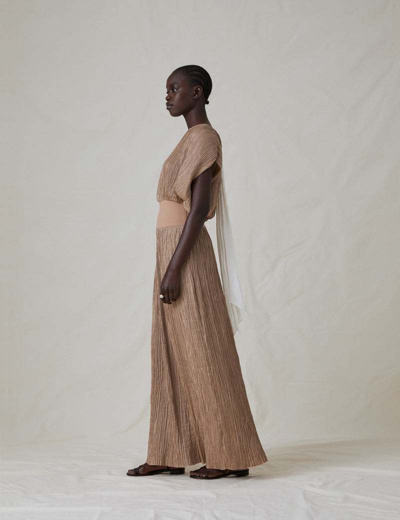 The Crinkled Dress
